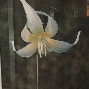 Meet your Posher, Sunny